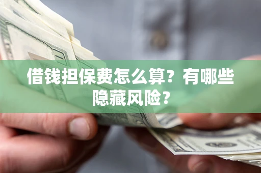 武汉借钱担保费怎么算？有哪些隐藏风险？