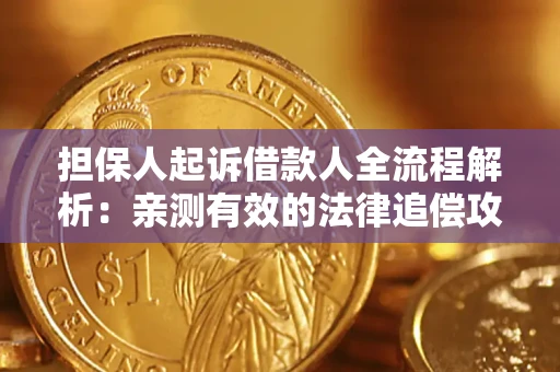 武汉担保人起诉借款人全流程解析：亲测有效的法律追偿攻略