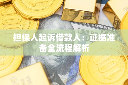 武汉担保人起诉借款人：证据准备全流程解析
