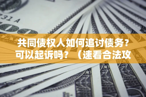 武汉共同债权人如何追讨债务？可以起诉吗？（速看合法攻略）