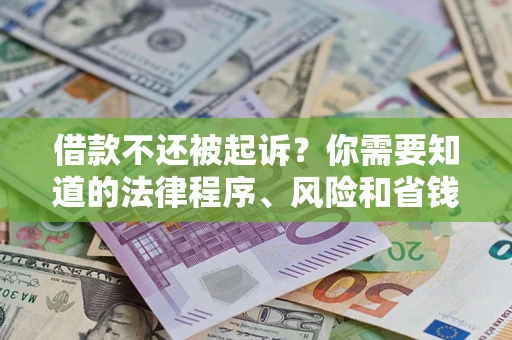 武汉借款不还被起诉？你需要知道的法律程序、风险和省钱技巧