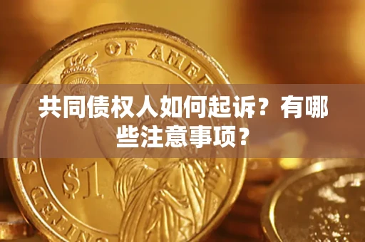 武汉共同债权人如何起诉？有哪些注意事项？